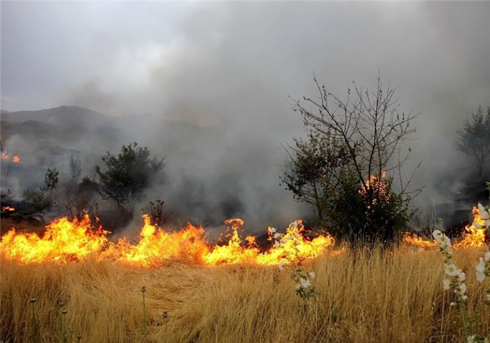 ۴۰ هکتار از مراتع شهرستان لامرد در آتش سوخت