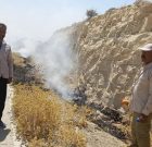 خطر آتش سوزی در مناطق محیط زیست شهرستان لامرد با بی توجهی و سهل انگاری