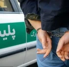 دستگیری سارقان در لامرد