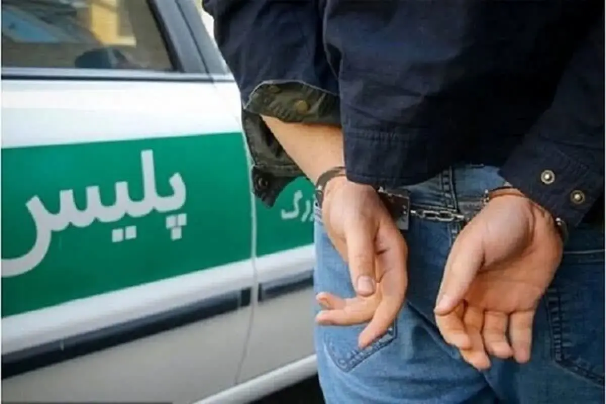 دستگیری سارقان در لامرد