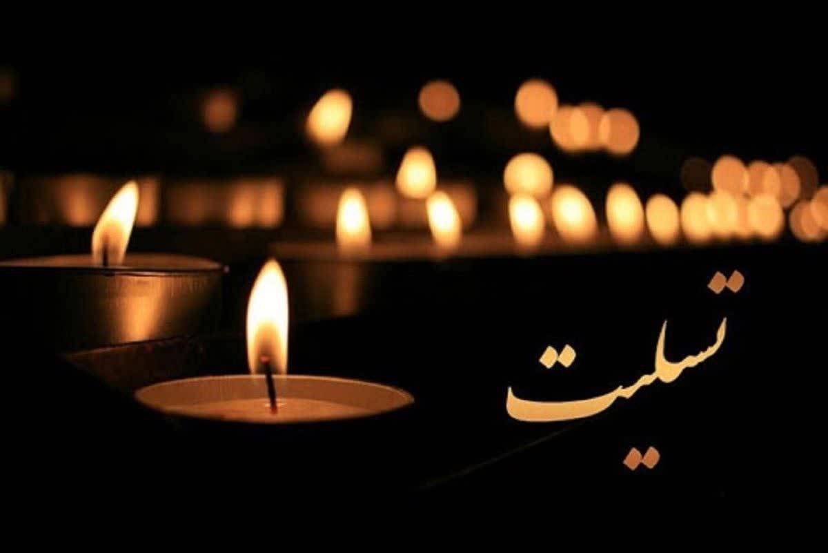 معاون مالی و اداری منطقه ویژه اقتصادی لامرد در سوگ پدر نشست